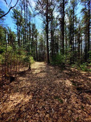 Lot #11B Sanford Road Wells ME 04090