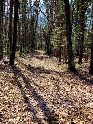 Lot #11B Sanford Road Wells ME 04090