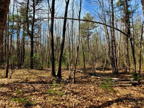 Lot #11B Sanford Road Wells ME 04090