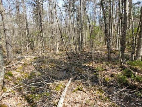 Lot #11B Sanford Road Wells ME 04090