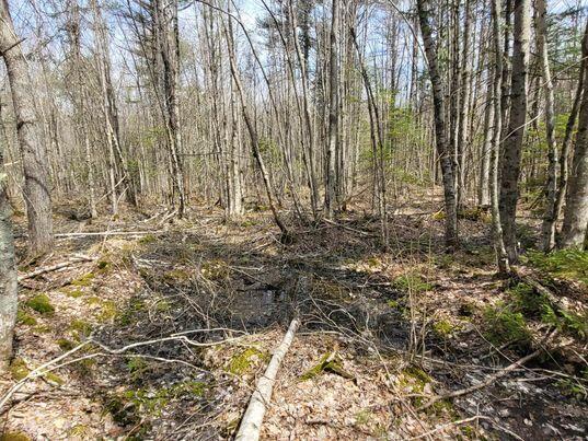 Lot #11B Sanford Road Wells ME 04090