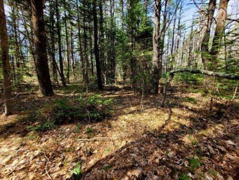 Lot #11B Sanford Road Wells ME 04090