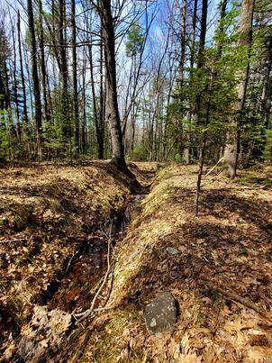 Lot #11B Sanford Road Wells ME 04090