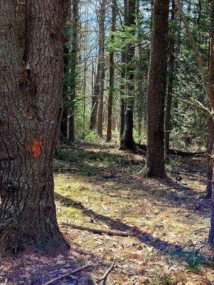 Lot #11B Sanford Road Wells ME 04090