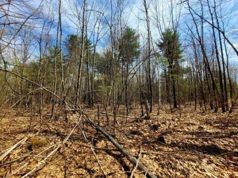 Lot #11B Sanford Road Wells ME 04090