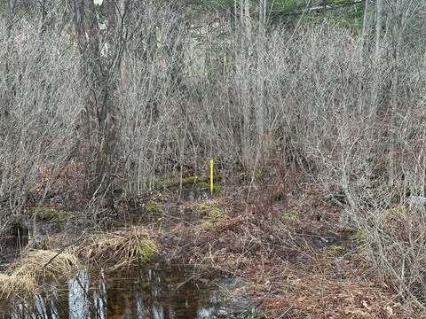 Lot #11B Sanford Road Wells ME 04090