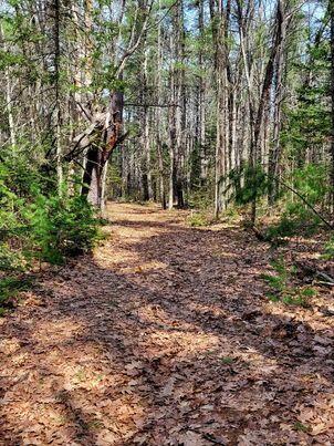 Lot #11B Sanford Road Wells ME 04090