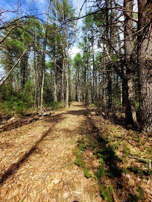 Lot #11B Sanford Road Wells ME 04090