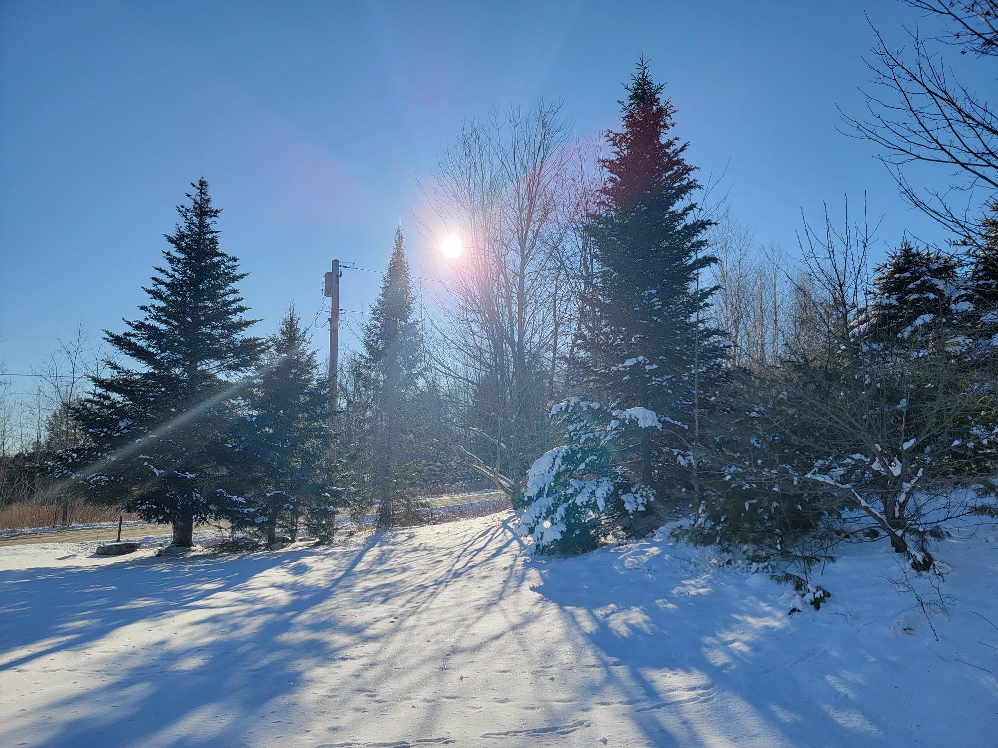 1244 Gary Moore Road Otis ME 04605