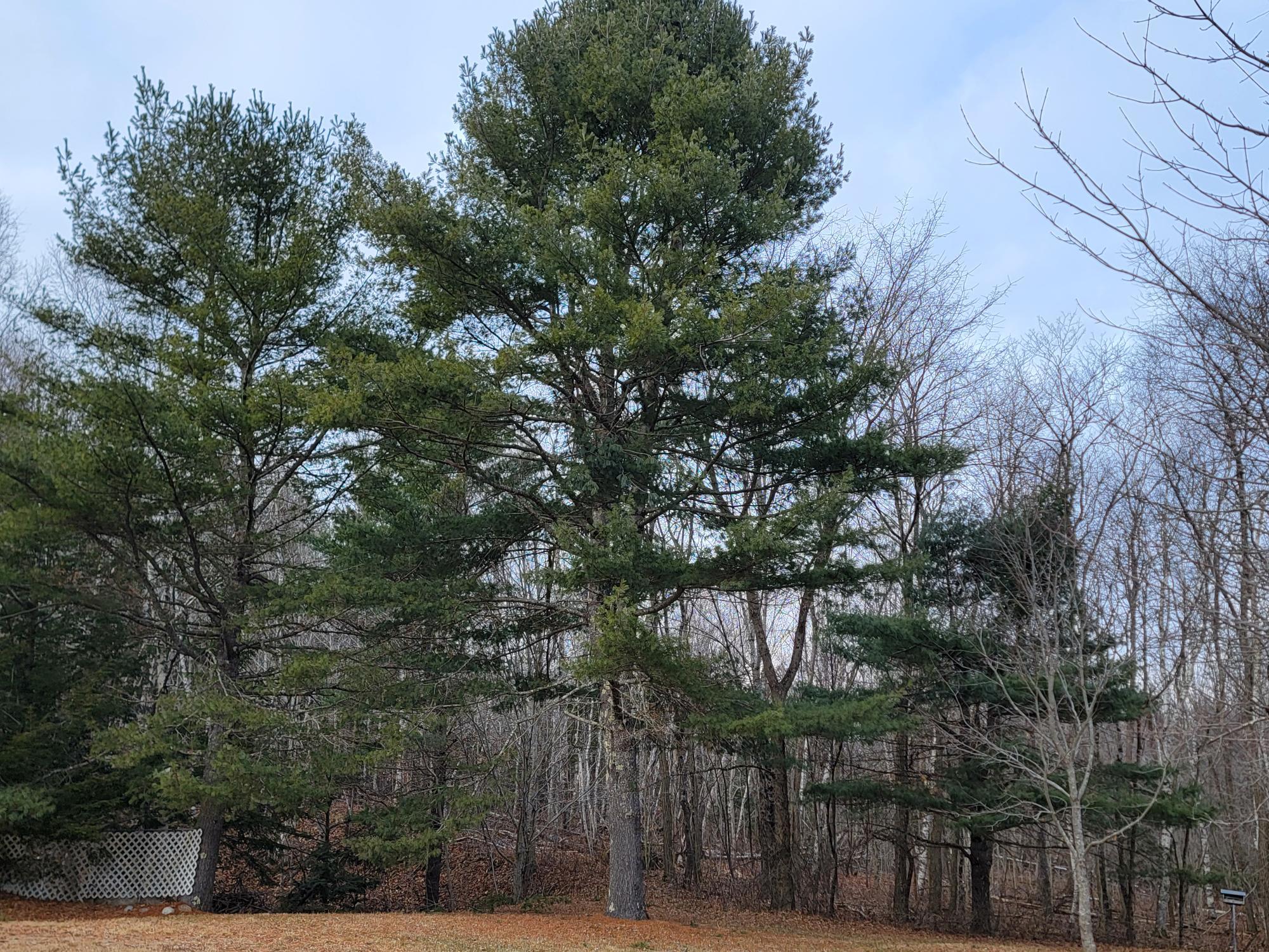 1244 Gary Moore Road Otis ME 04605