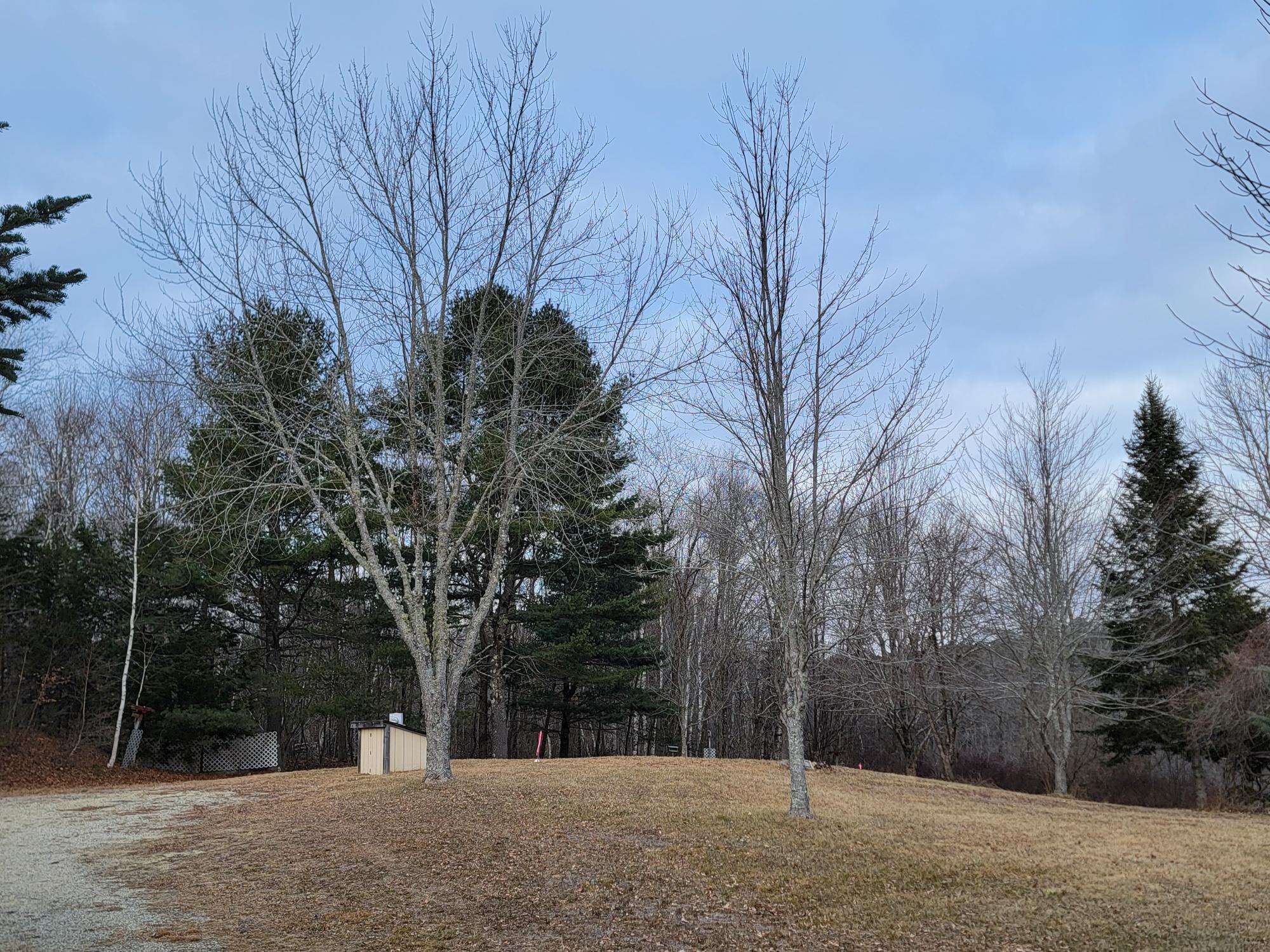 1244 Gary Moore Road Otis ME 04605