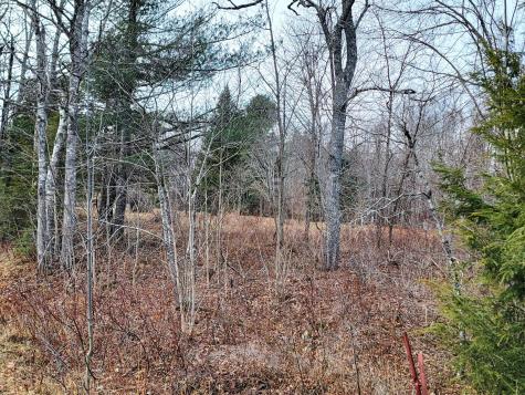 1244 Gary Moore Road Otis ME 04605