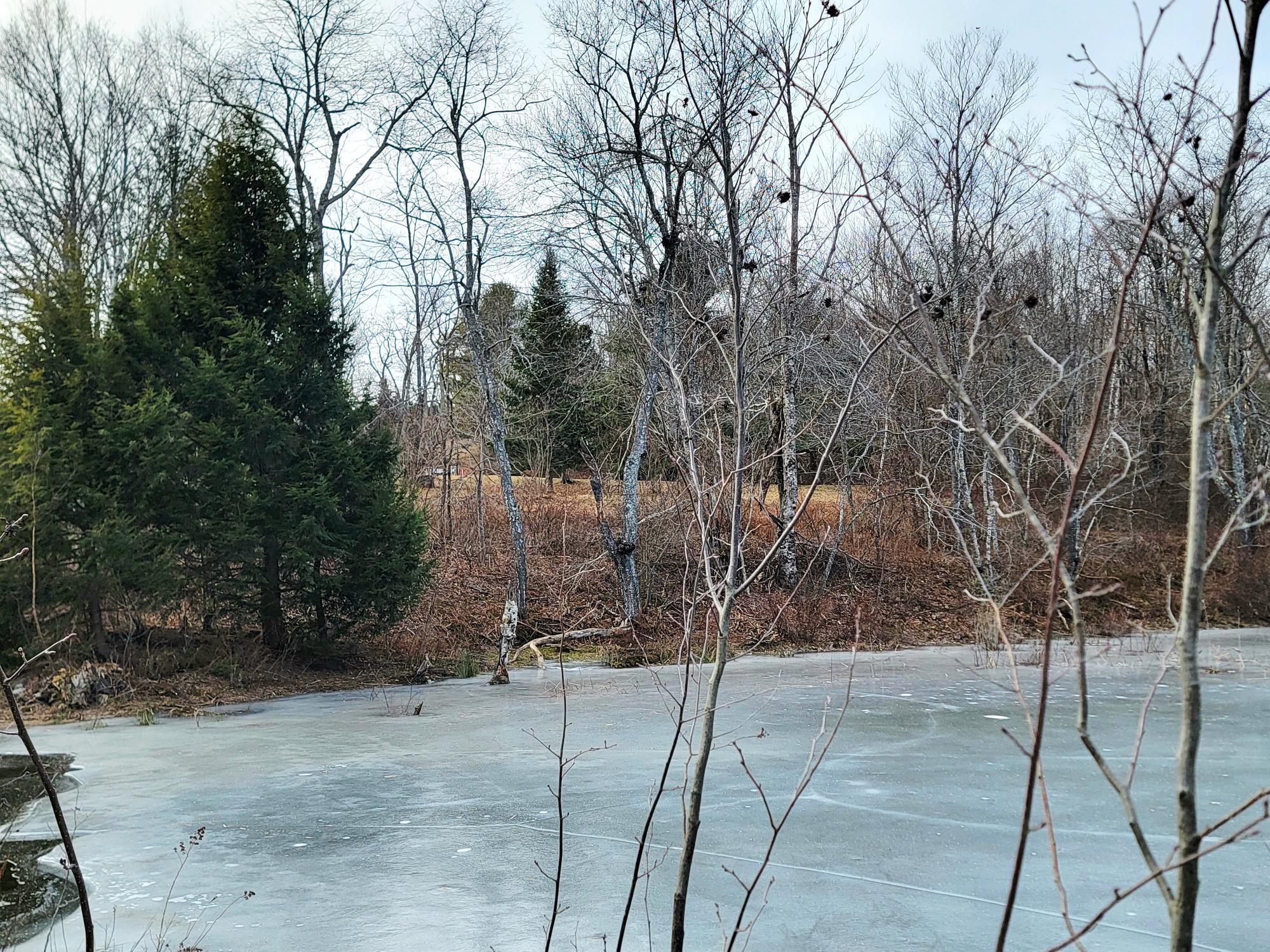 1244 Gary Moore Road Otis ME 04605