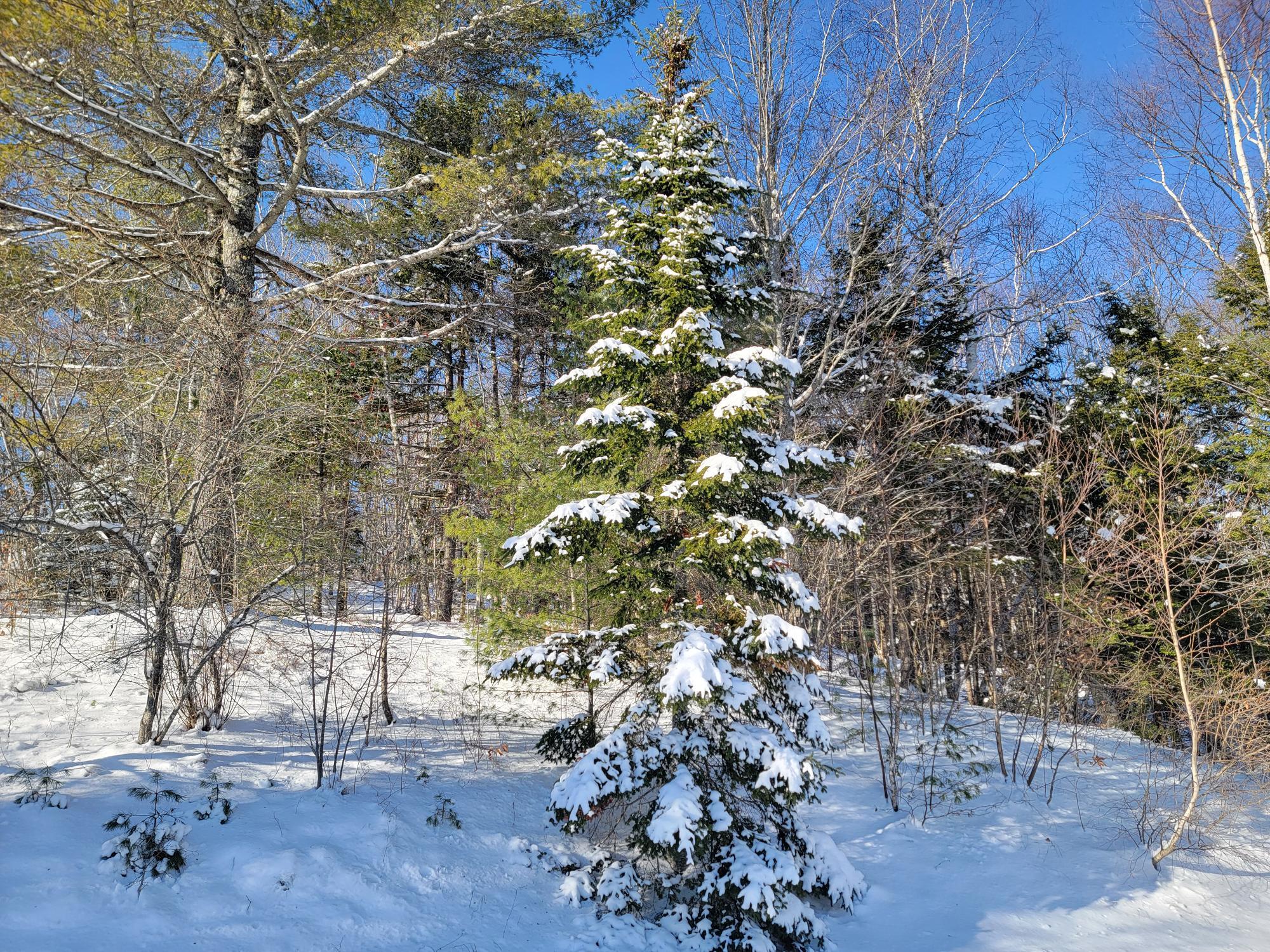 1244 Gary Moore Road Otis ME 04605