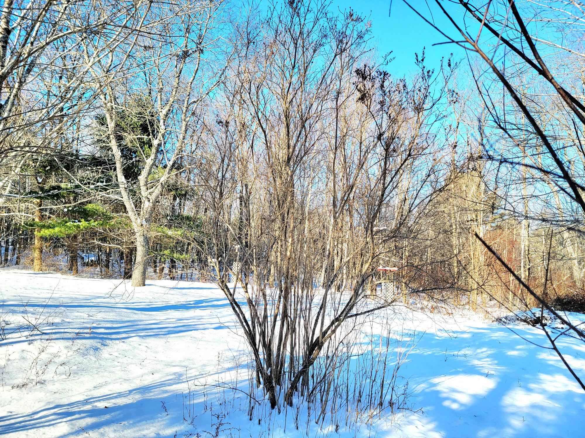 1244 Gary Moore Road Otis ME 04605