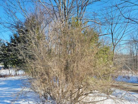 1244 Gary Moore Road Otis ME 04605