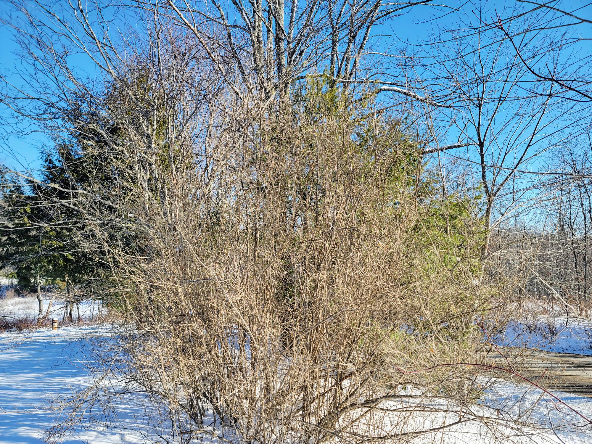 1244 Gary Moore Road Otis ME 04605