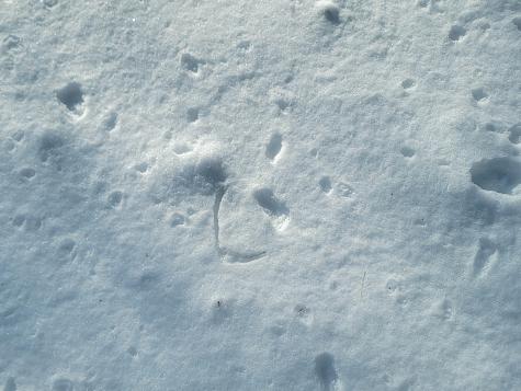 1244 Gary Moore Road Otis ME 04605