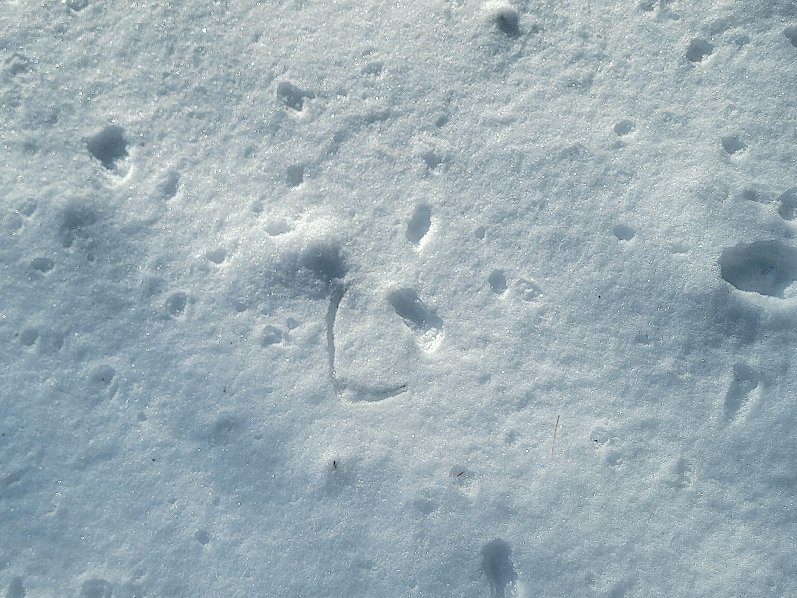 1244 Gary Moore Road Otis ME 04605