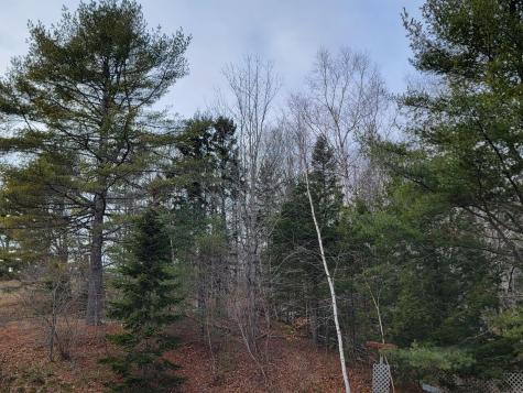 1244 Gary Moore Road Otis ME 04605