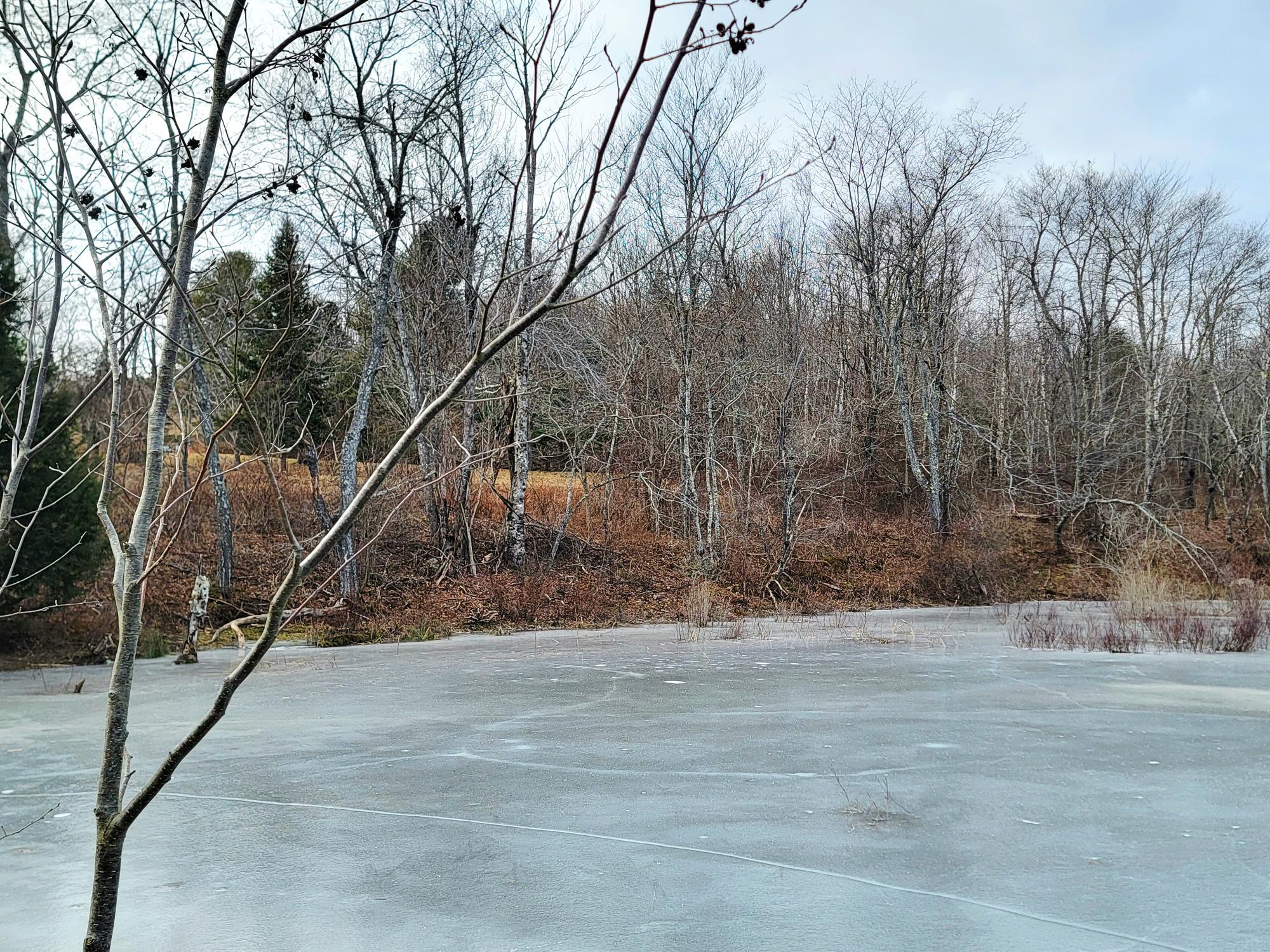 1244 Gary Moore Road Otis ME 04605