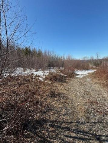 Lot 3 Vista Way Naples ME 04055