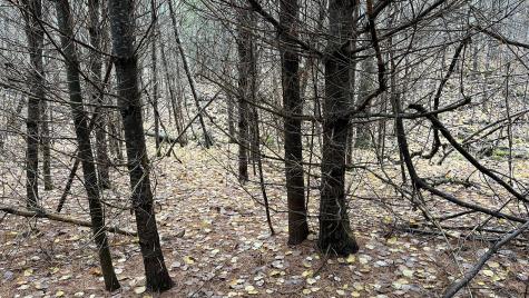 80 Kelley Lane Limerick ME 04048