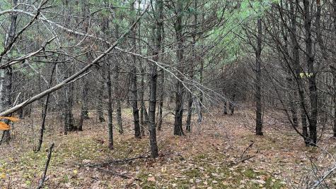 80 Kelley Lane Limerick ME 04048