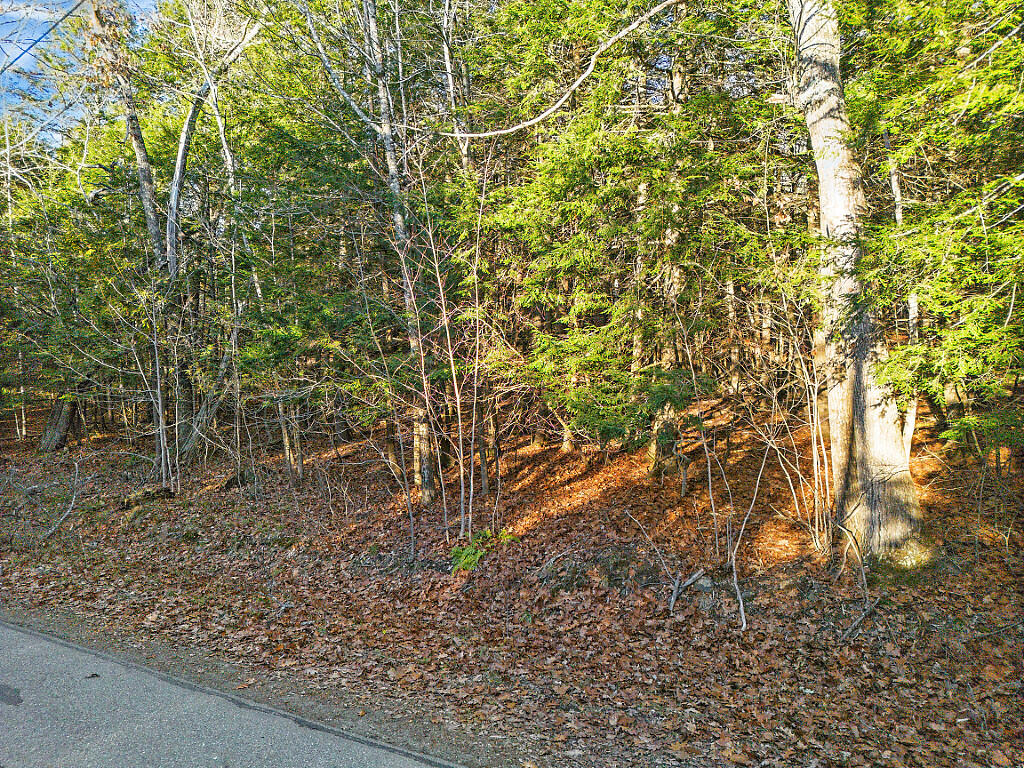 Lot 3-1 Bryant Road Unity ME 04988