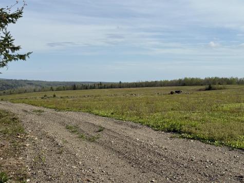 Lot 8 Airline Road Alexander ME 04694