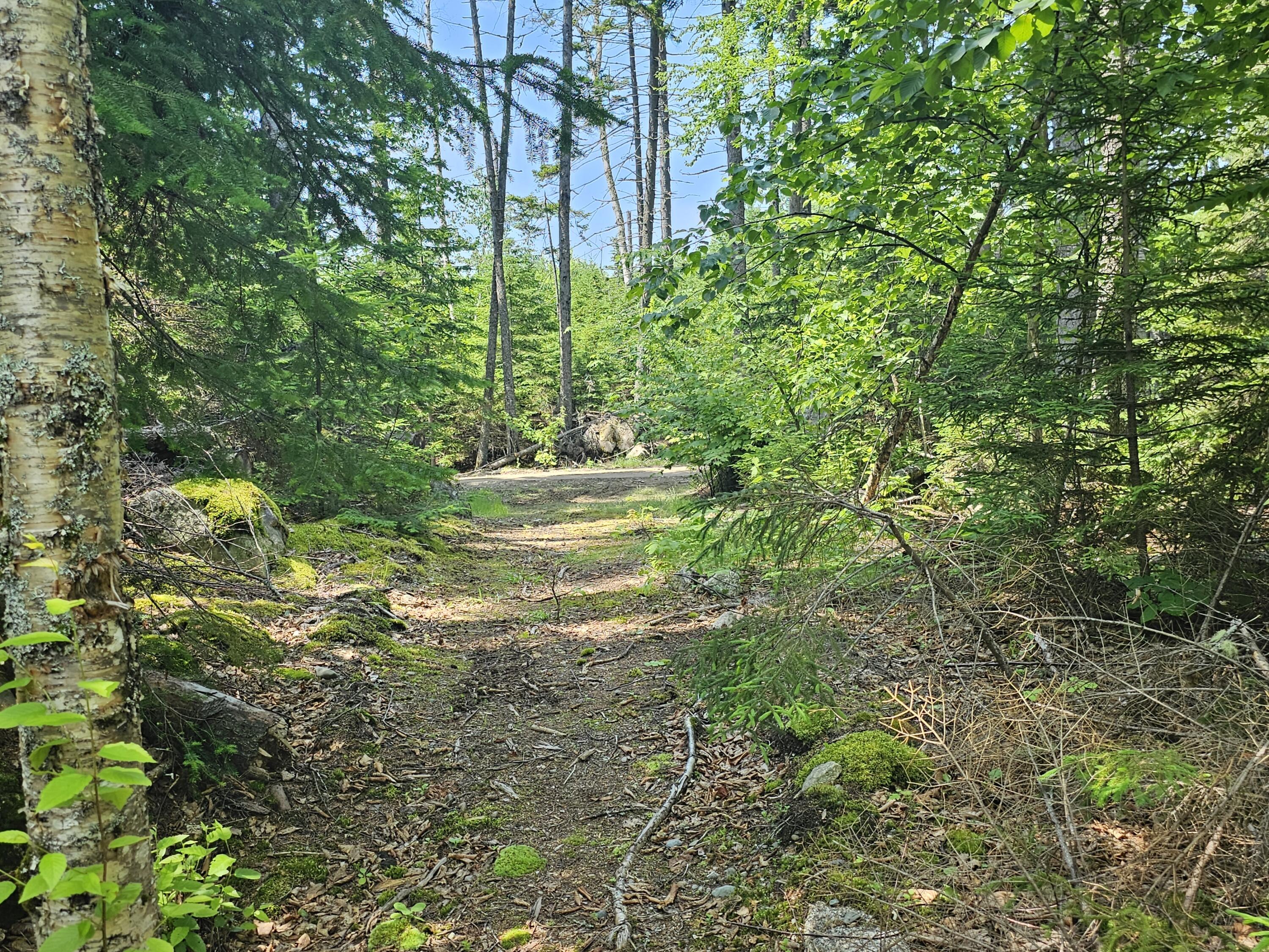 M26 L11.1 Boulder Road Danforth ME 04424