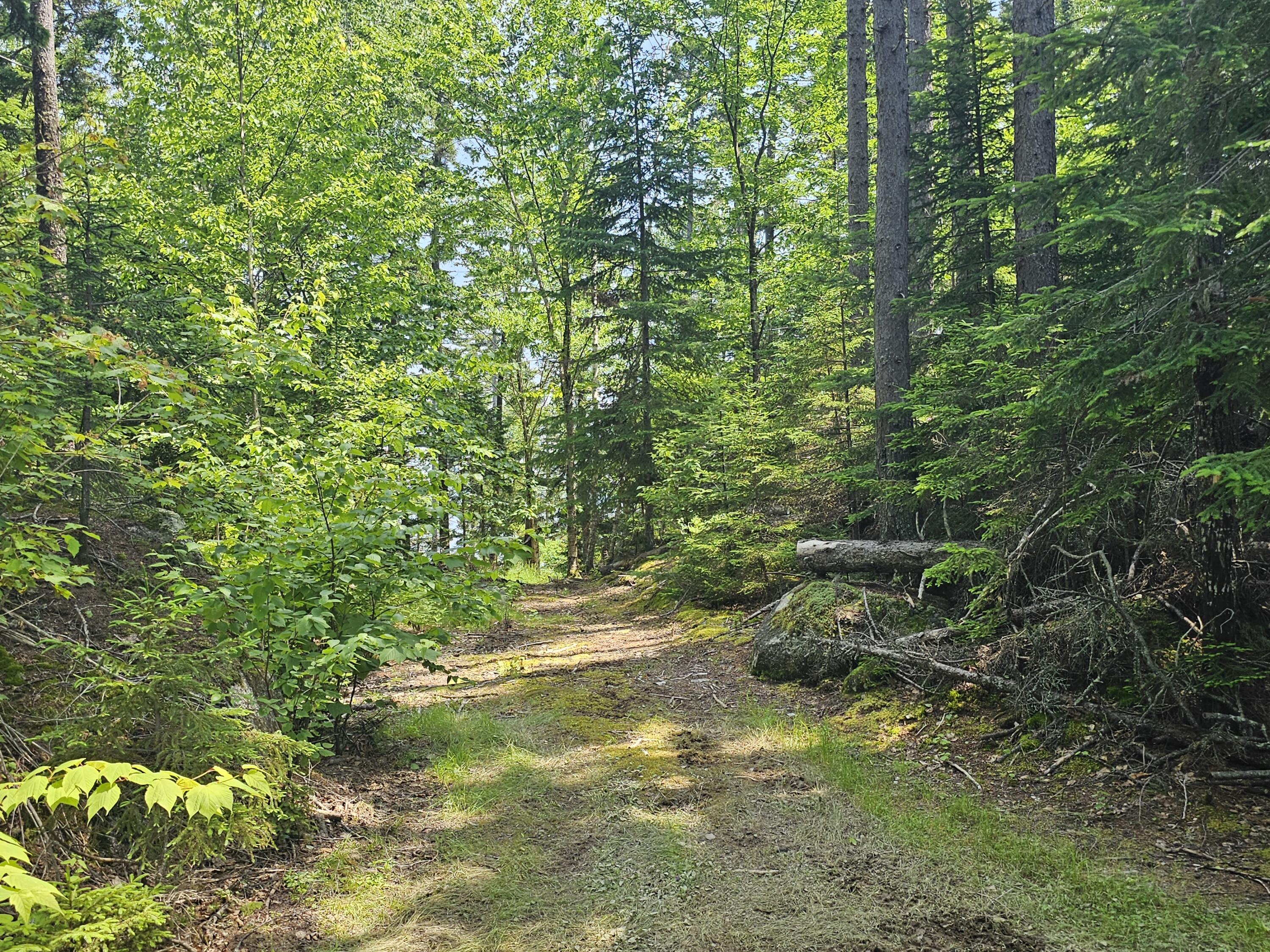 M26 L11.1 Boulder Road Danforth ME 04424