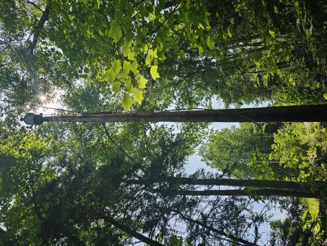 M26 L11.1 Boulder Road Danforth ME 04424