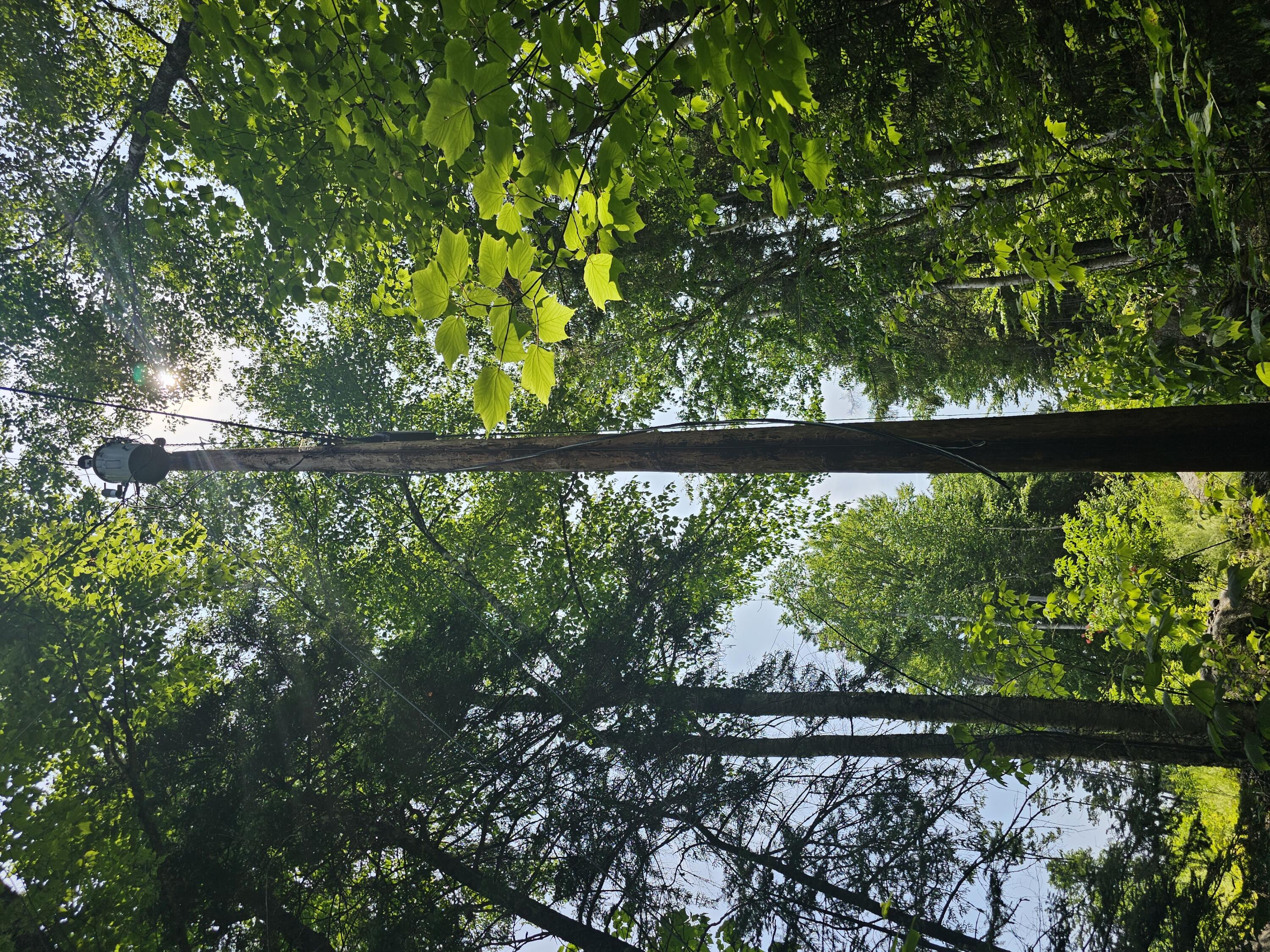 M26 L11.1 Boulder Road Danforth ME 04424