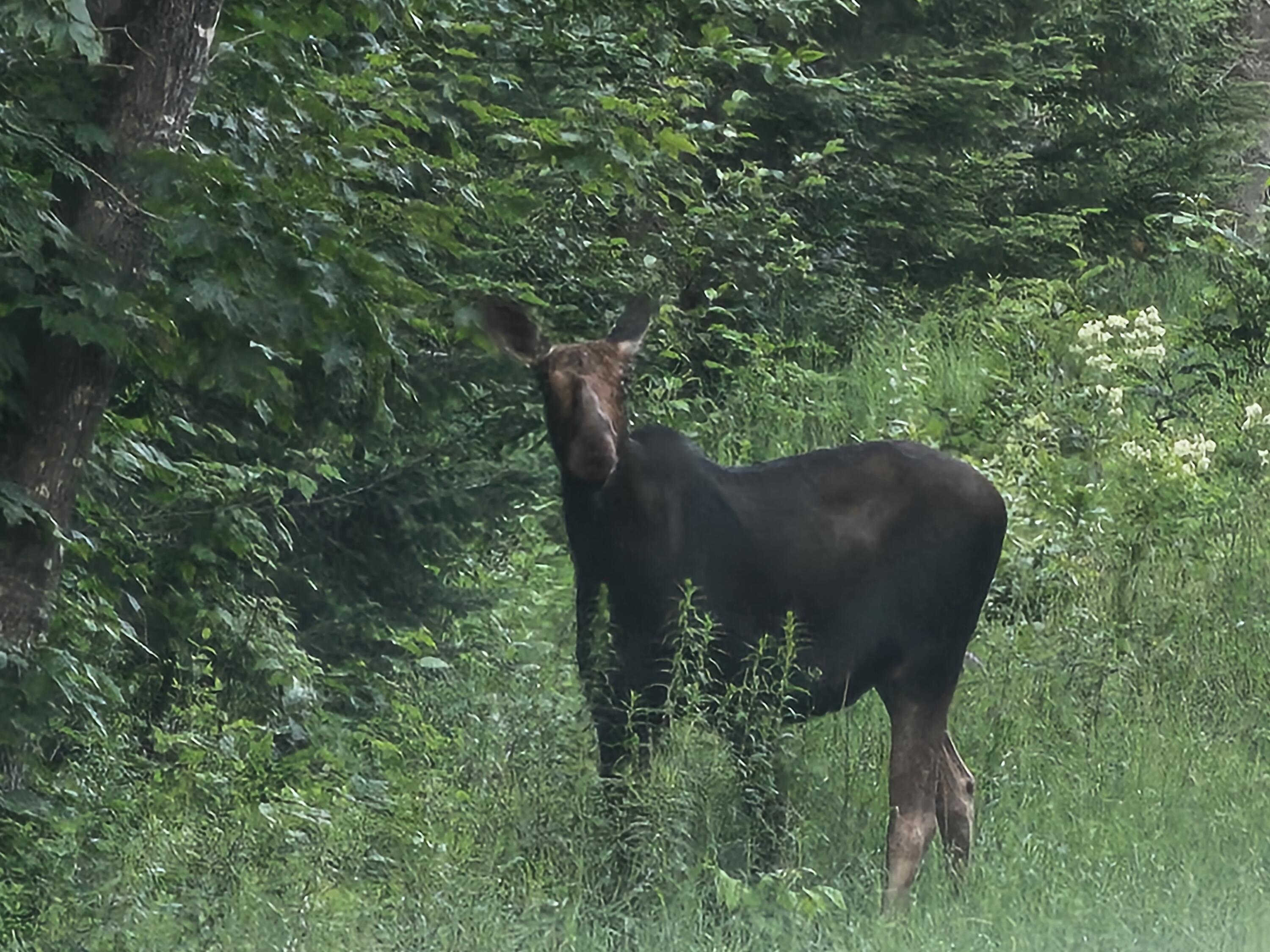 M26 L11.1 Boulder Road Danforth ME 04424