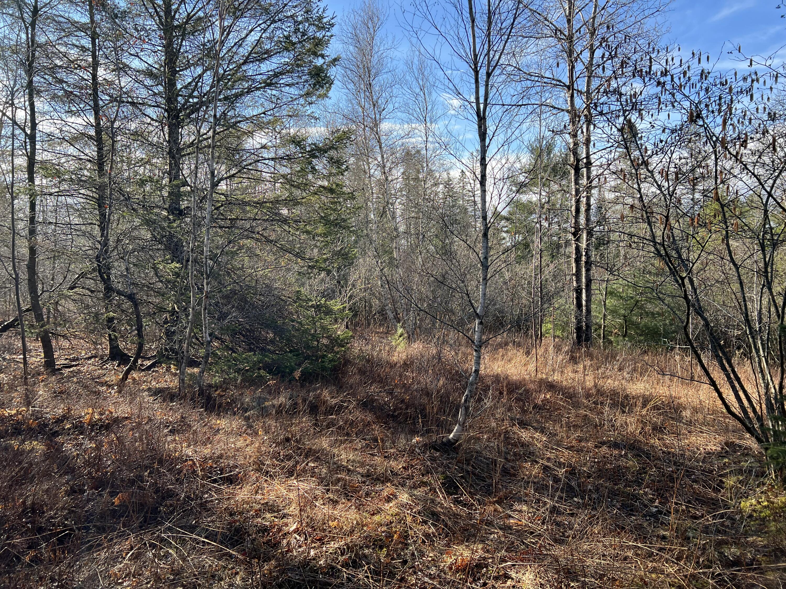 207 Gray Meadow Road Orland ME 04472