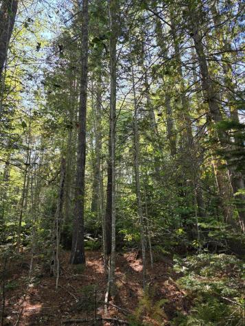 00 Back Searsport Road Belfast ME 04915