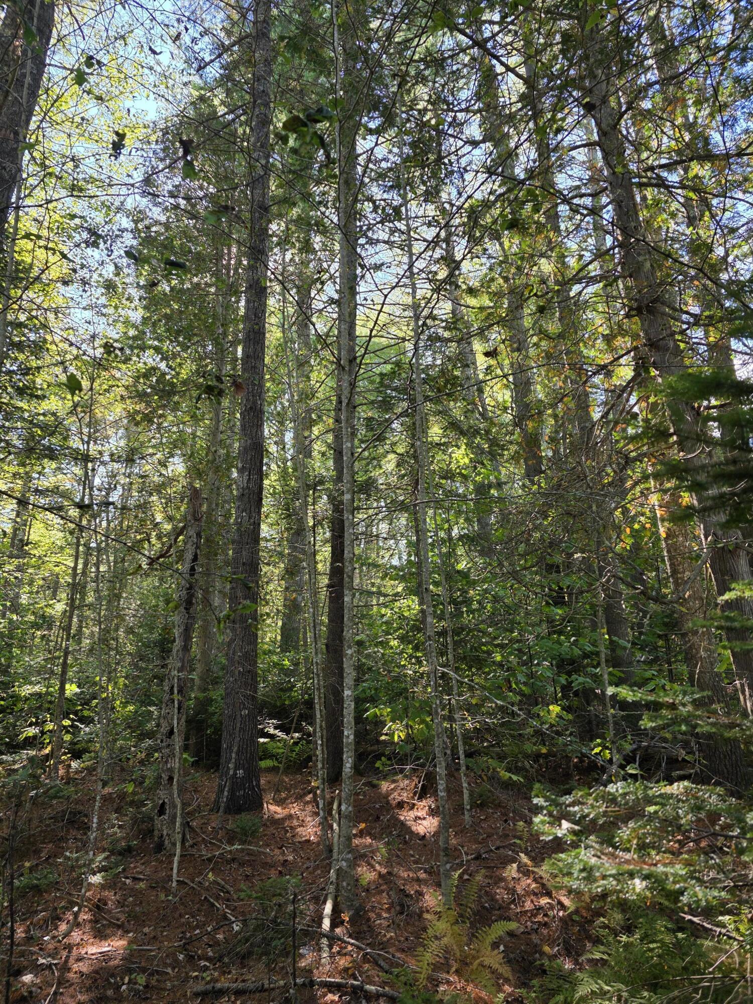 00 Back Searsport Road Belfast ME 04915