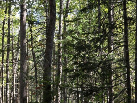 00 Back Searsport Road Belfast ME 04915