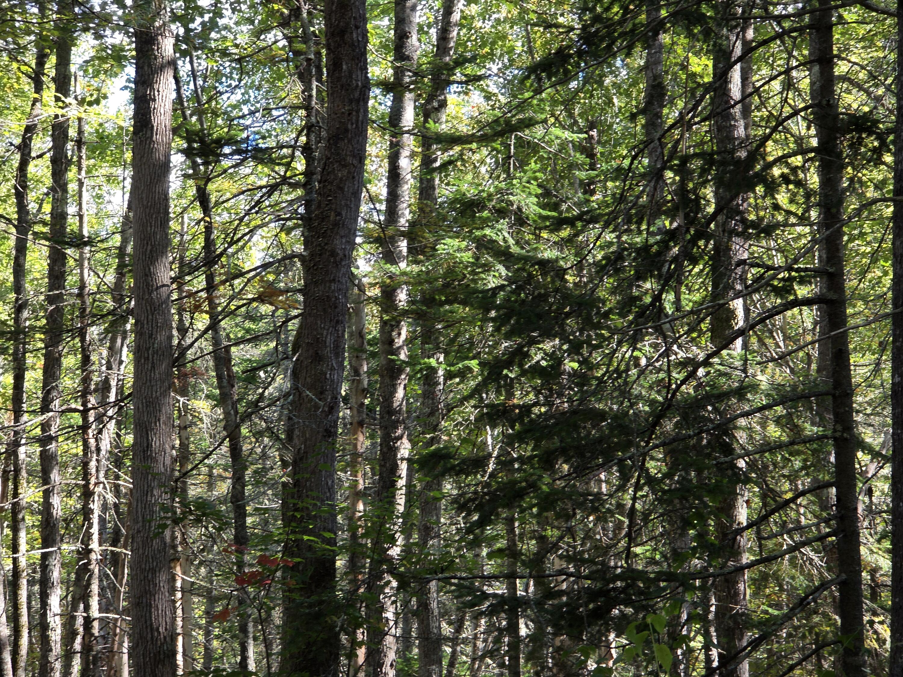 00 Back Searsport Road Belfast ME 04915