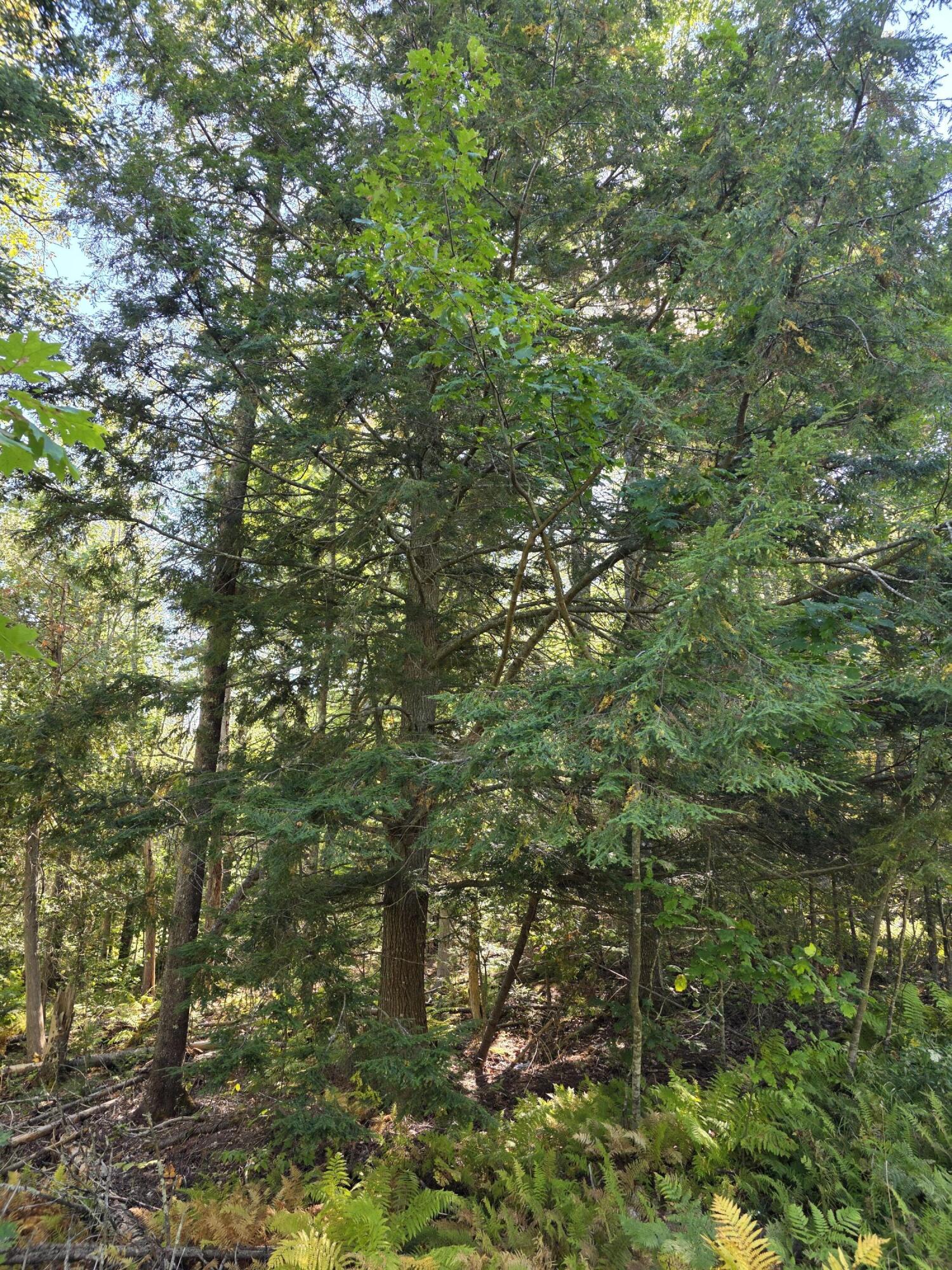 00 Back Searsport Road Belfast ME 04915