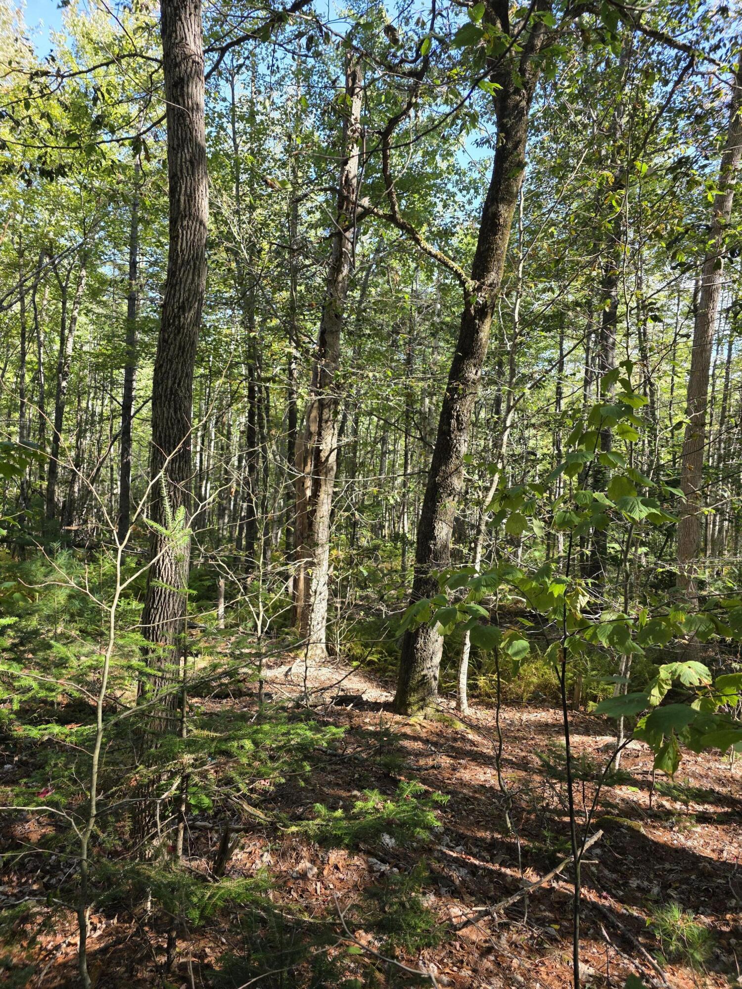 00 Back Searsport Road Belfast ME 04915