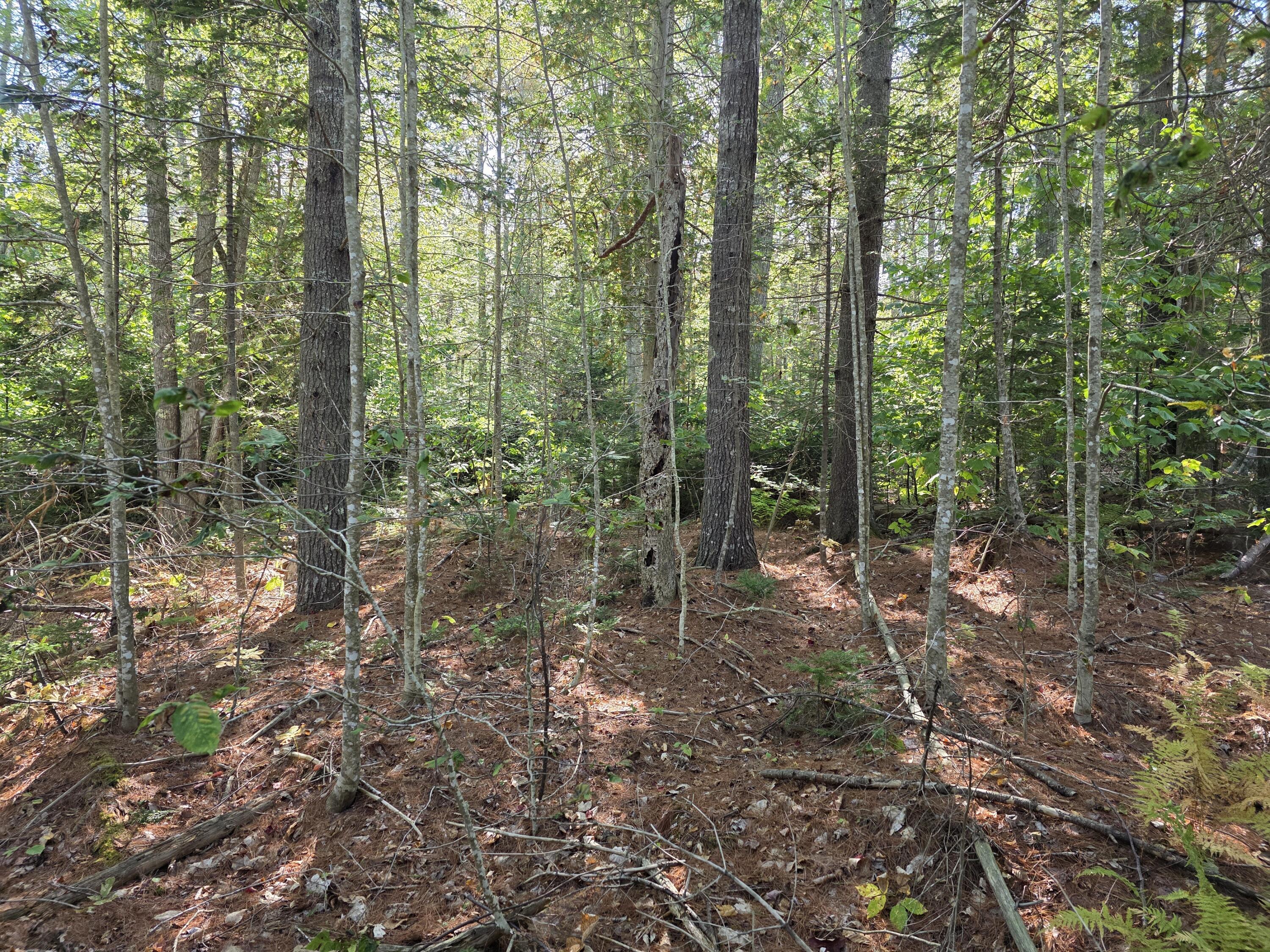 00 Back Searsport Road Belfast ME 04915