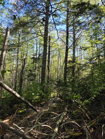 00 Back Searsport Road Belfast ME 04915