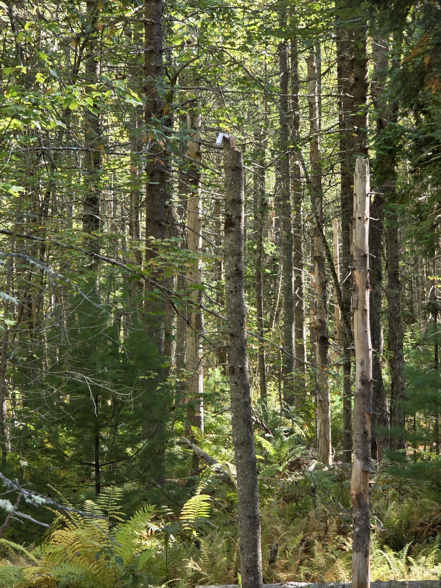 00 Back Searsport Road Belfast ME 04915