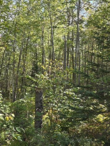 00 Back Searsport Road Belfast ME 04915