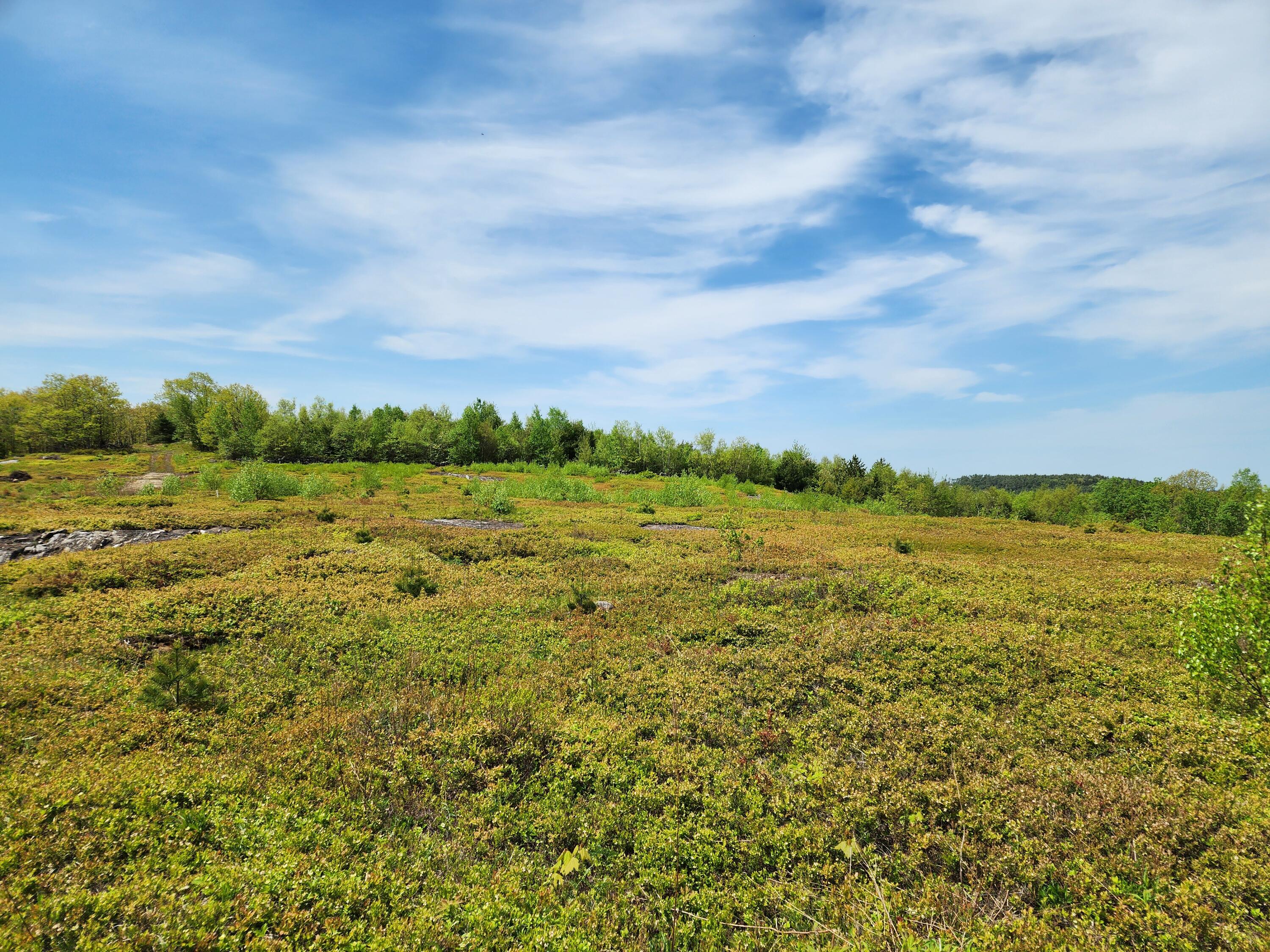 3 Whispering Berries Hill Liberty ME 04949
