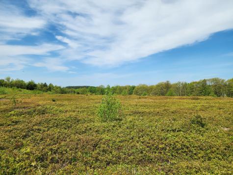 3 Whispering Berries Hill Liberty ME 04949