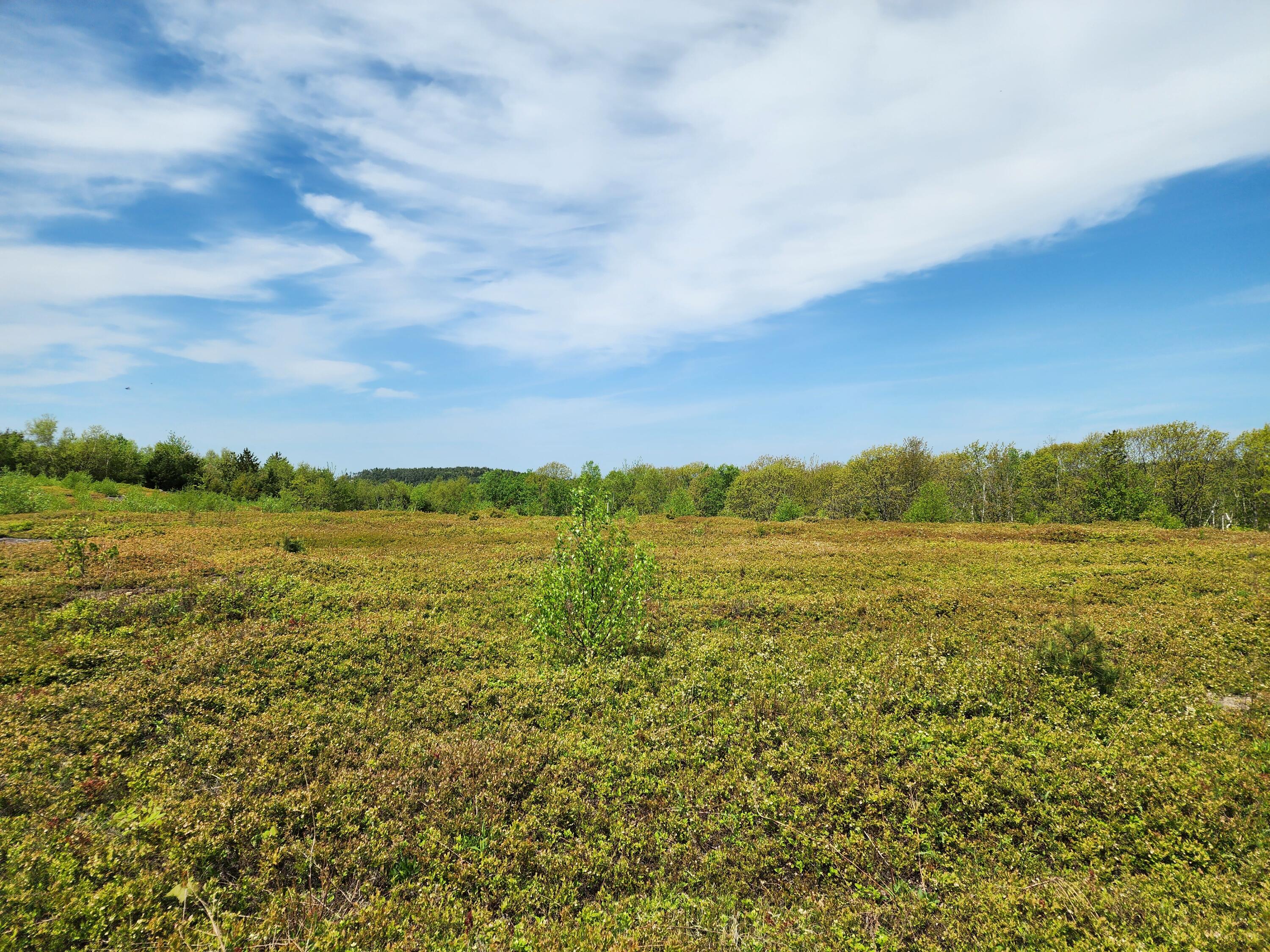 3 Whispering Berries Hill Liberty ME 04949