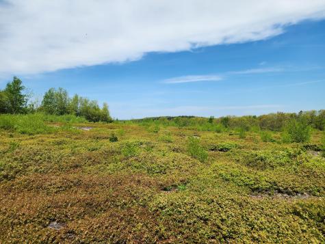 3 Whispering Berries Hill Liberty ME 04949